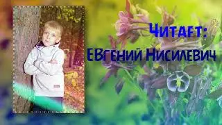 Детские стихи читает Евгений Нисилевич
