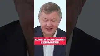 Будут ли убивать бездомных кошек?