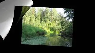 Сплав по реке Шача
