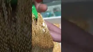 Kalung emas 1 Graman murah kadar muda #perhiasanupdate #kalungemas #perhiasanemas