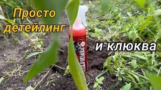АСМР детейлинг + Космическая Клюква