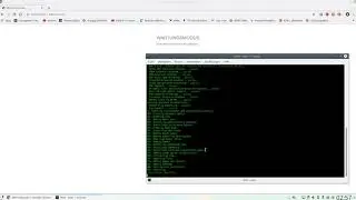 Concrete5 CLI Version installieren