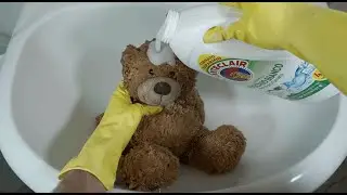 ASMR with TEDDY: Ultimate Relaxation and Sleep