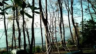 Сочи зимой. Декабрь 2018