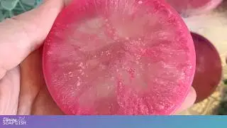 Mica and Alcohol Petri Dish Technique for Melt and Pour Soap / Tweak of the Week