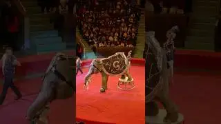 🐘 и дочка