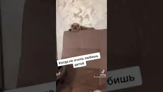 #котговоряшийрот