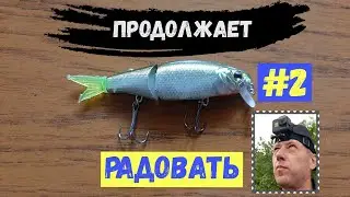 Рыбалка на спиннинг. Уборка мусора. Воблер продолжает радовать. Осень 2019. Часть 2-я.