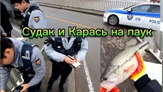 Рыбалка на паук. Приехала ПОЛИЦИЯ! Выпишут ШТРАФ? или ДЕПОРТИРУЮТ? 