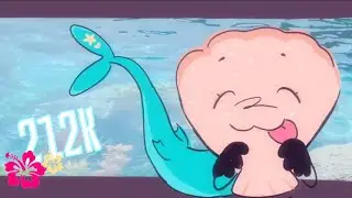 212K MEME