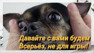 Доброта спасёт мир! #добро #добротаспасётмир #доброевидео  #Kindness #kindness