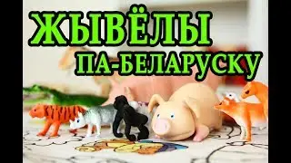Жывёлы па-беларуску