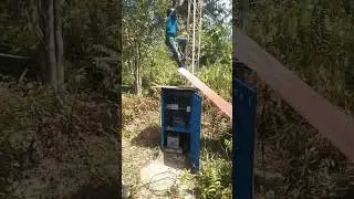 Network installation in the forest