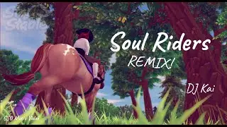 Soul Riders Remix | SSO Music Video