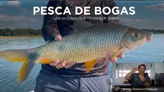 Las 10 cosas que tenes que saber de la PESCA DE BOGAS Técnicas y Tutoriales