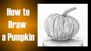 How to Draw a Pumpkin Realistically with Easy Steps