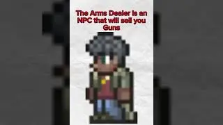 The Arms Dealer Explained #terraria