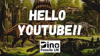 A SHORT INTRODUCTION TO: Moroccan Dinosaur Teeth