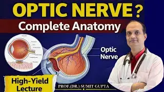 Optic Nerve (CN II) Explained | Anatomy, Course, Blood Supply & Clinical Correlates | Dr SUMIT GUPTA