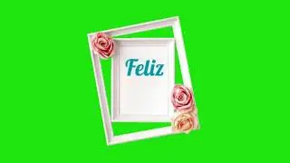 Dia das mães Green screen chroma Key