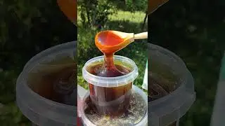 Мëд с гречихи