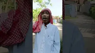 pupur Isabela pada jatoh di jalan