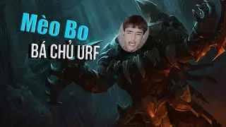 [ ARURF 2021 ] MÈO BO MÈO MÉO MEO TEAM ĐỊCH - NOISYB