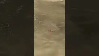 Чеченская Республика