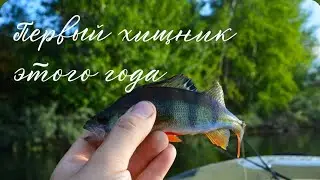 Спиннинг на карьере. Первый окунь в сезоне. Жара.. #подпишись #рыбалка #fishing