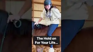 Beginner Vs Experienced Horse Riders! 