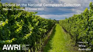 Update on the National Grapevine Collection