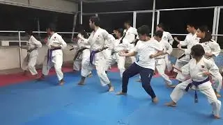 kyu belt kata practice #jka #jka_news #jkakarate #karate #martialarts