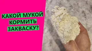 КАКОЙ МУКОЙ🧐 КОРМИТЬ ЗАКВАСКУ?
