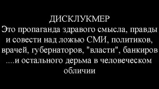 Санкт Петербург позитивные новости от 21.04.20