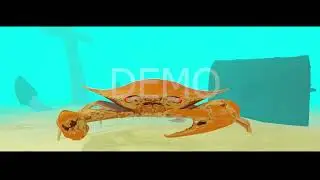 VJ/DJ Crab Visuals Pack | Demo