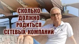 Сколько должно родиться Сетевых компаний