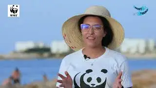 Adopt a beach by WWF