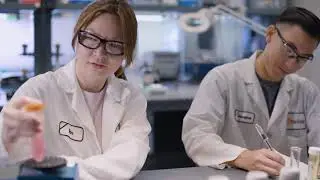Developing Plant-Based Food Solutions with Microalgae