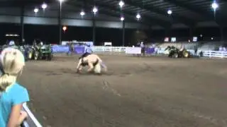 Whitney and Dolly NBHA GA state show 1st go