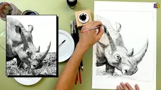 Les animaux à l'encre de chine [Niveau intermédiaire] - Clairefontaine x SAVOIR / DESSINER