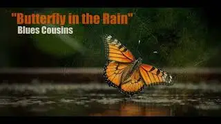 "Butterfly In The Rain"/ Levan Lomidze & Blues Cousins ( Instrumental)