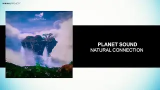 Planet Sound - Natural Connection (Original Mix)