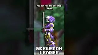 Symphony of the Night’s Most Obscure Boss Fight 