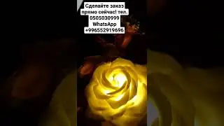 #цветыош #цветыжалалабад #цветыбаткен #цветыысыккол #цветынарын #цветыдлядам #цветыдляпринцесс