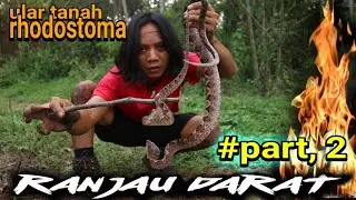 RANJAU DARAT ULAR PALING BAHAYA
