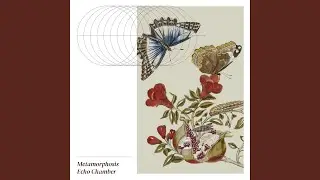 Metamorphosis Echo Chamber