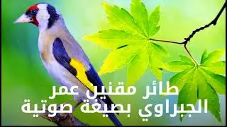 شريط حسون ويداني مراكشي قديم للمولوع المراكشي عمر الجبراوي