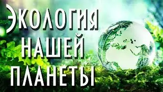 Экология: будущее планеты Земля | Влияние человека на природу | Экопоселения