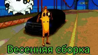 СЛИВ ВЕСЕННЕЙ СБОРКИ ДЛЯ СЛАБЫХ-МОЩНЫХ ПК ДЛЯ ARIZONA RP!!! #game #gta #samp #arizona #arizonarp