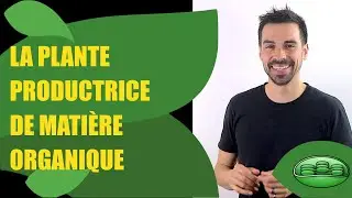 FINAL YEAR COURSE SPECIALIZING IN SVT CHAPTER 9: THE PLANT PRODUCING ORGANIC MATTER - Bio Logique-
